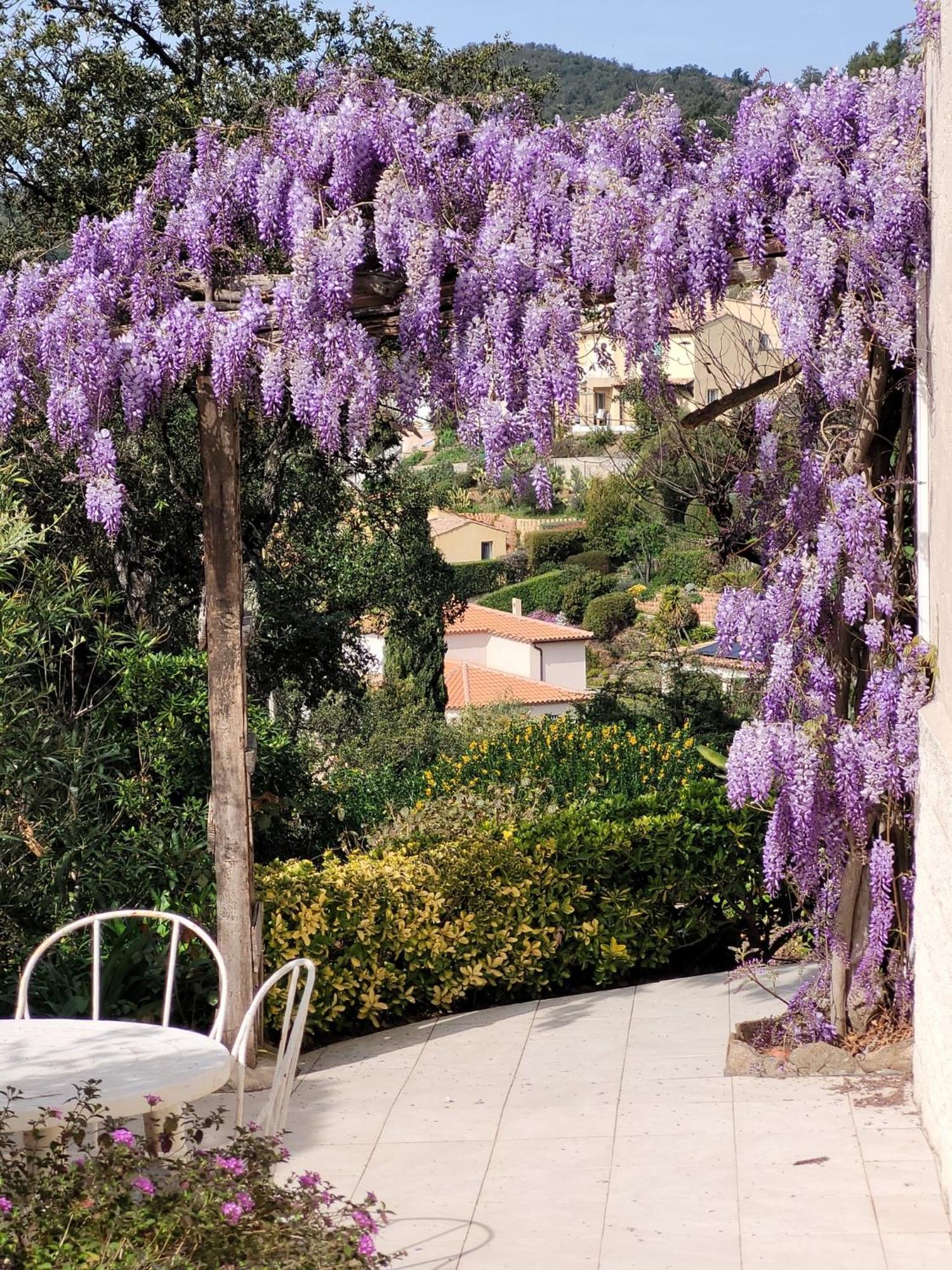 Appartements Dans Villa En Rez De Jardin Hyeres Exterior photo