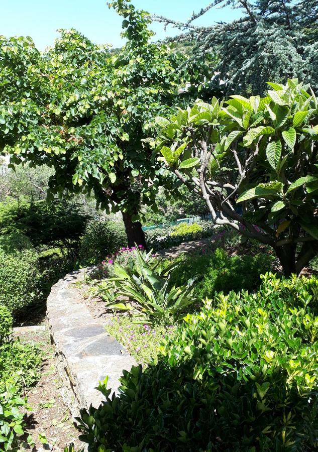 Appartements Dans Villa En Rez De Jardin Hyeres Exterior photo